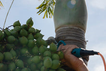 Load image into Gallery viewer, Electric Pruning Shears