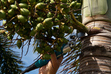 Load image into Gallery viewer, Electric Pruning Shears